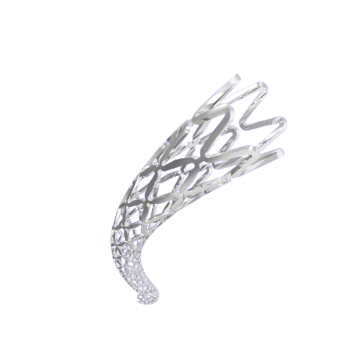 Exon Therapeutics Endostent