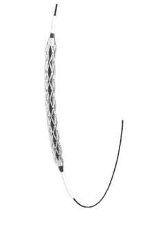 Exon Therapeutics Intima